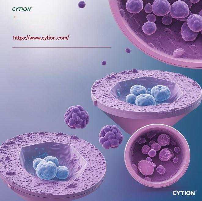 Throughput Screening in Drug Development